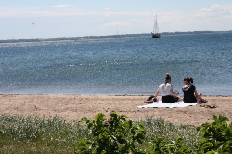 ホテル Rosenvold Strand Camping Stouby エクステリア 写真